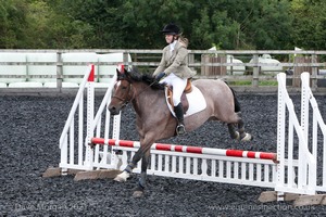 Class 3 -  Fences not above 2'3